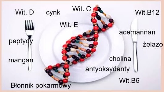 witaminy